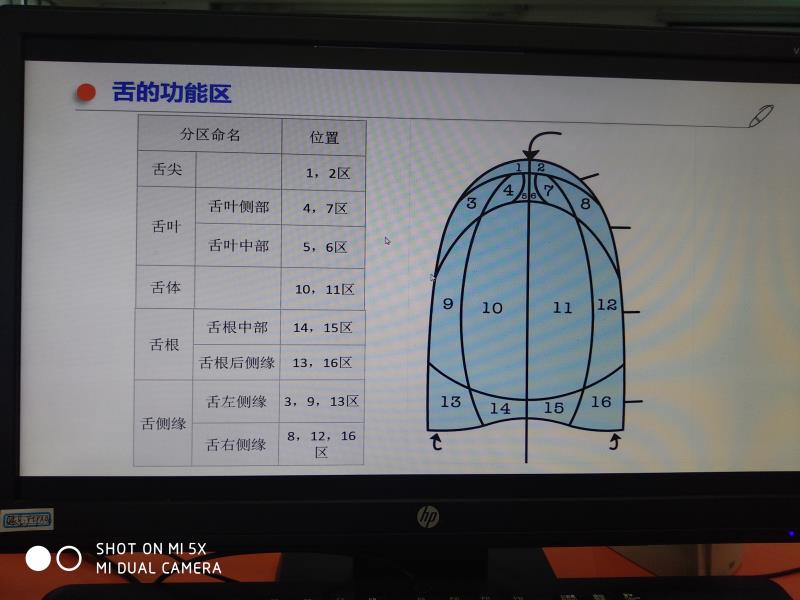 心之初开音