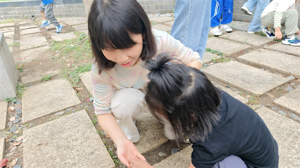 IMG_20250923_100833.jpg IMG_20250923_100833.jpg