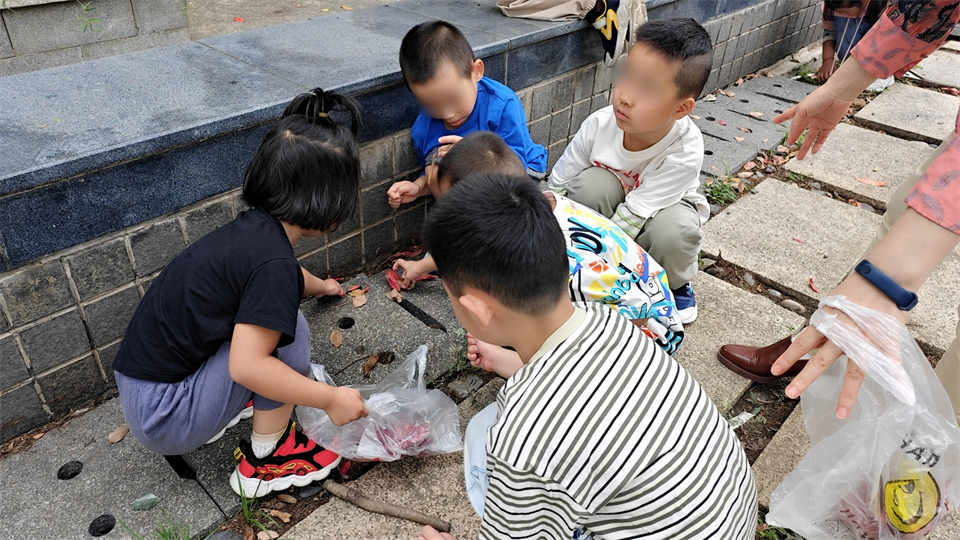 IMG_20250923_101243.jpg IMG_20250923_101243.jpg